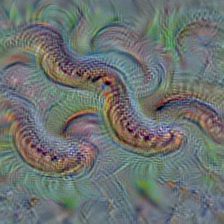n01740131 night snake, Hypsiglena torquata